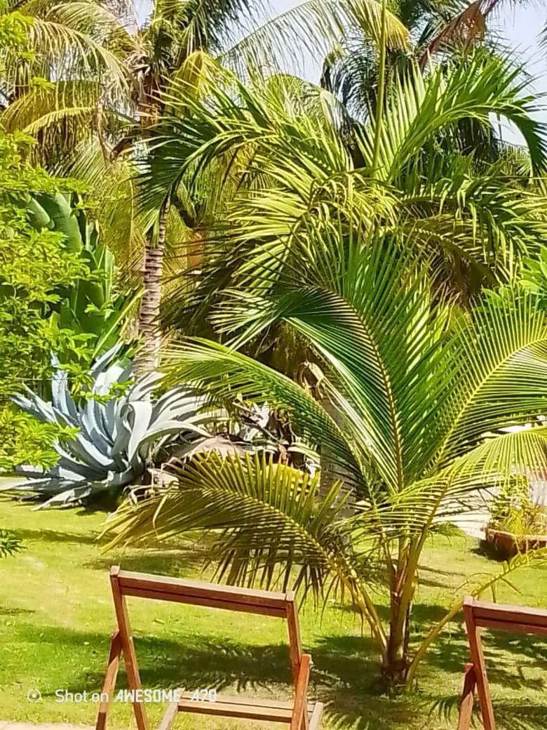 Chambre D'Hote Les Vacanciers Nianing Zewnętrze zdjęcie